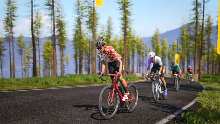 Group Rides